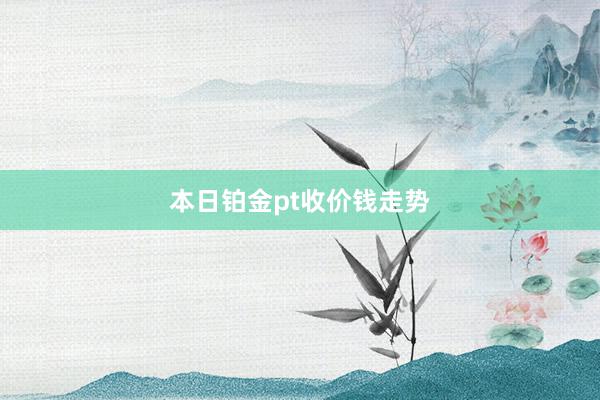 本日铂金pt收价钱走势