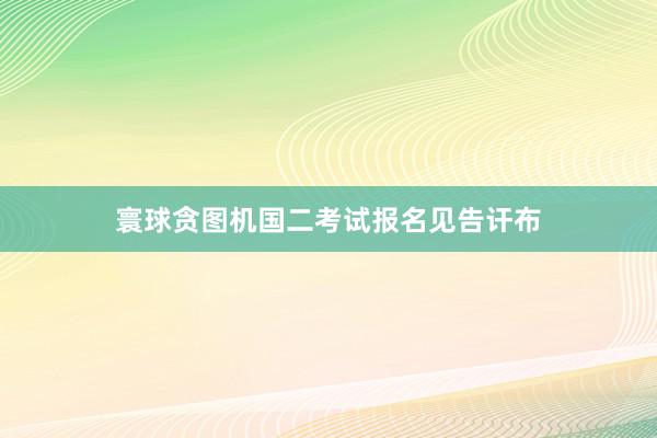 寰球贪图机国二考试报名见告讦布