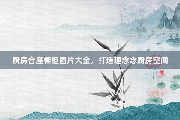 厨房合座橱柜图片大全，打造理念念厨房空间