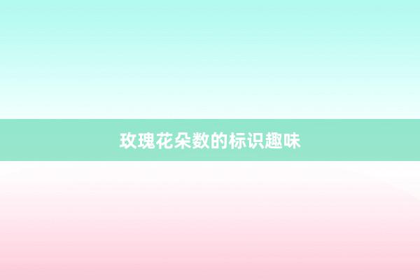 玫瑰花朵数的标识趣味