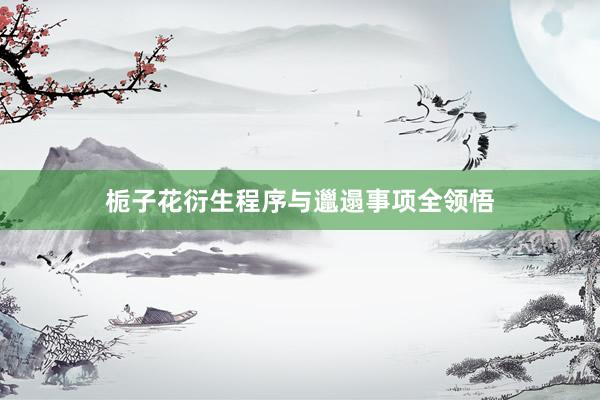 栀子花衍生程序与邋遢事项全领悟