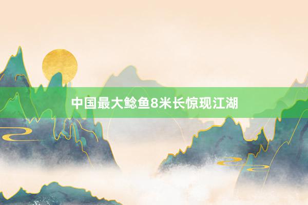 中国最大鲶鱼8米长惊现江湖